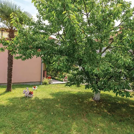 Pet Friendly In With Wifi *