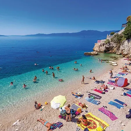 Pet Friendly In With Wifi Appartement *