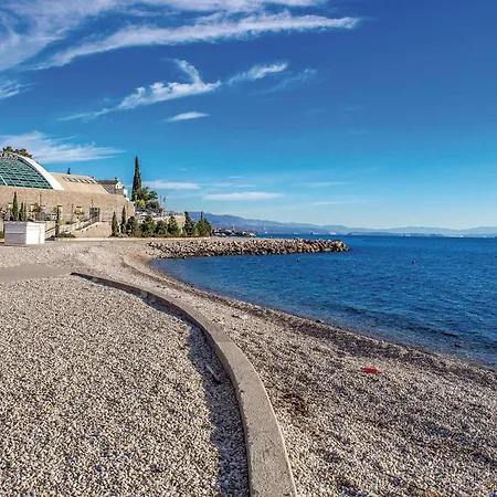 Appartement Pet Friendly In With Wifi